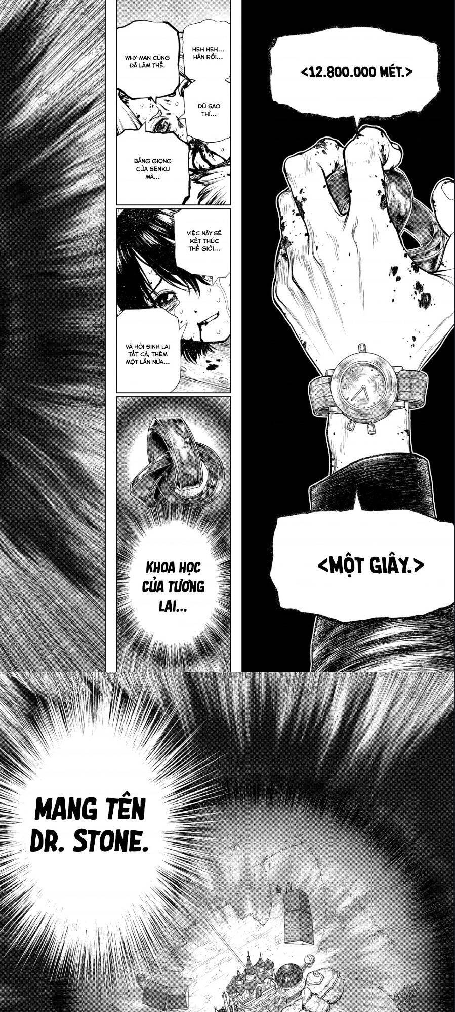 Dr.stone Tập 191 trang 14