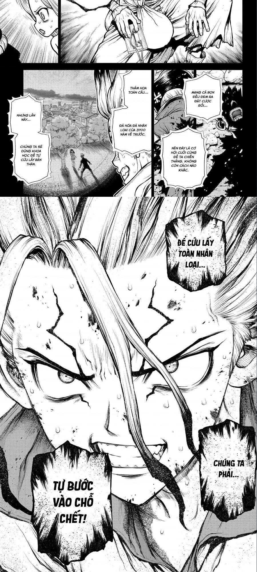 Dr.stone Tập 191 trang 4