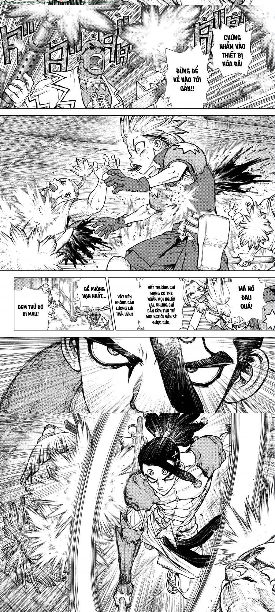 Dr.stone Tập 191 trang 6