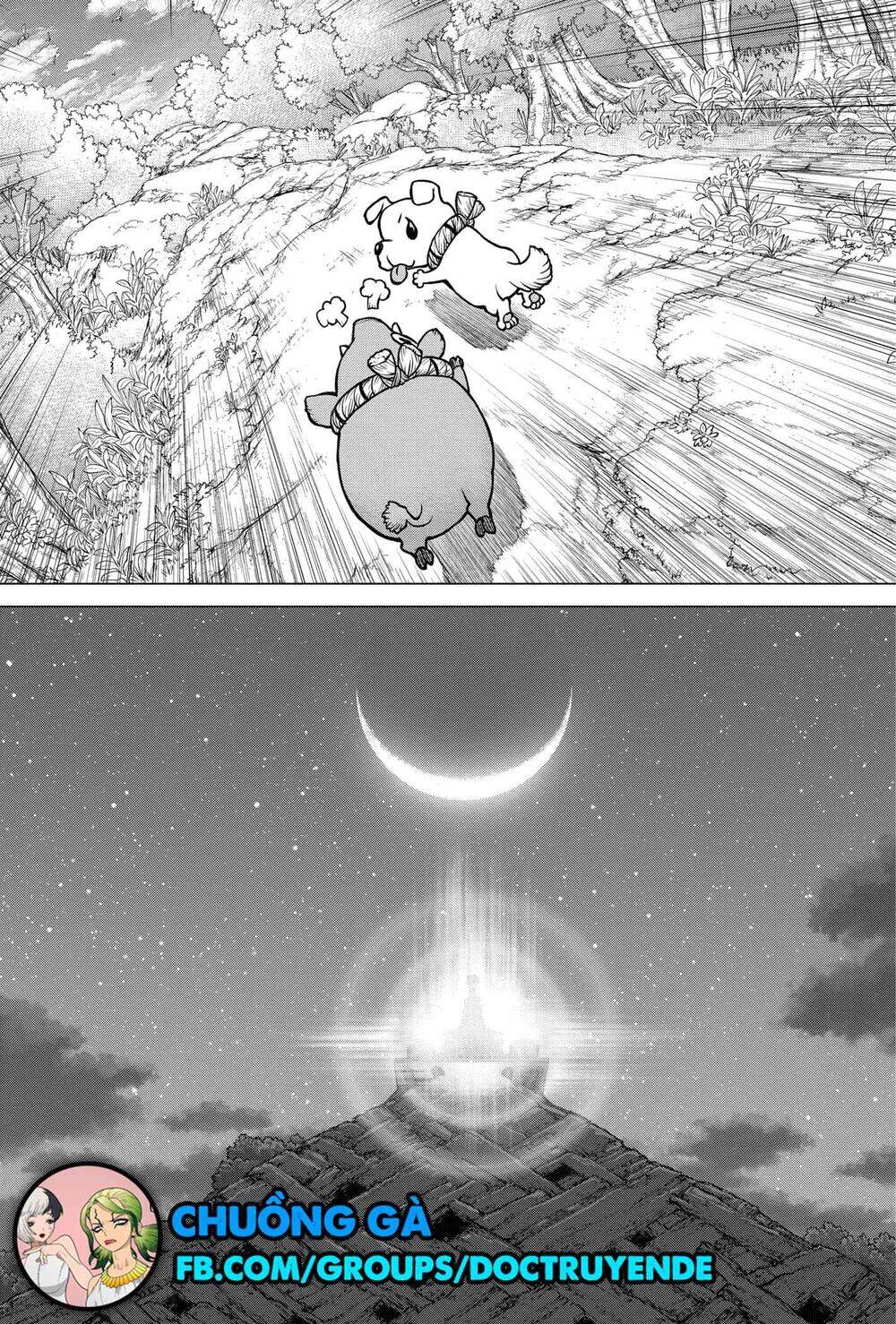 Dr.stone Tập 193 trang 16
