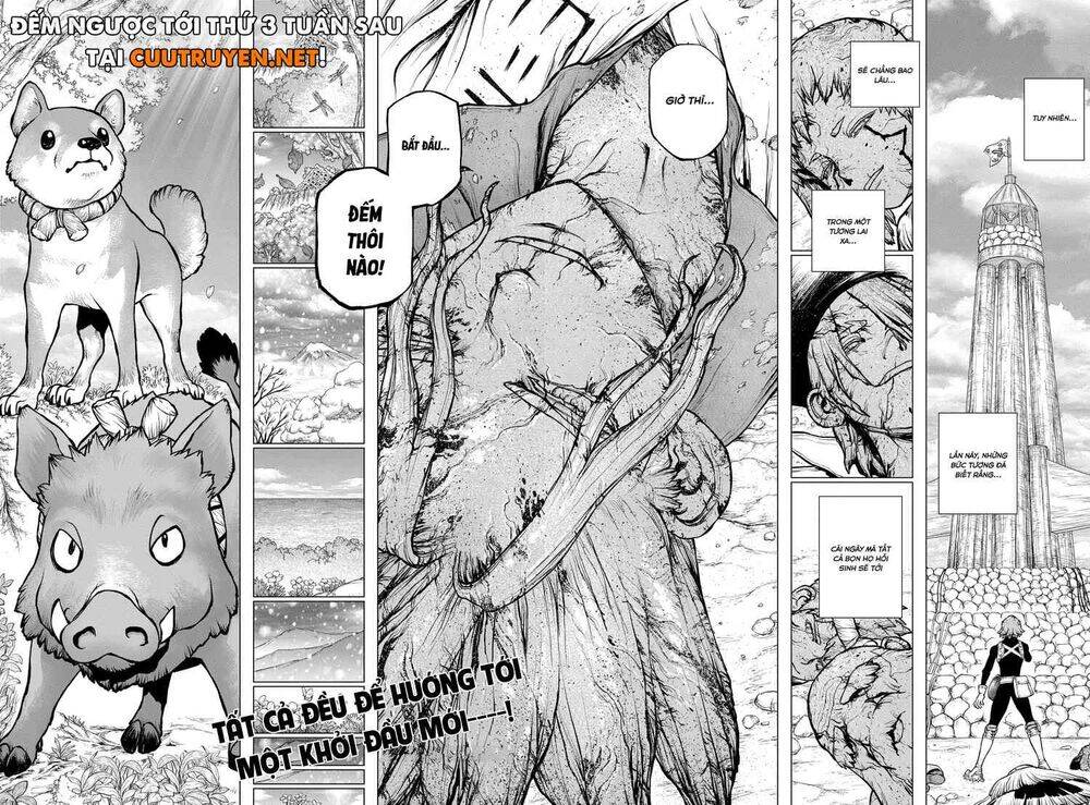 Dr.stone Tập 193 trang 18