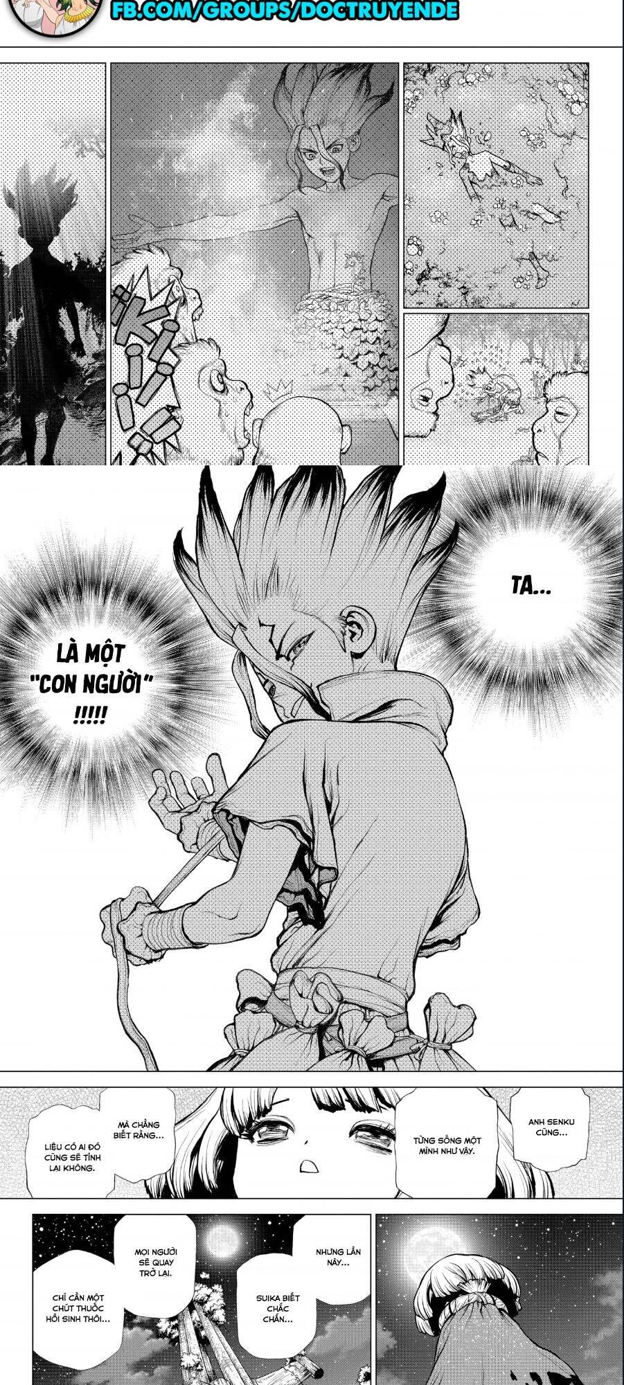 Dr.stone Tập 194 trang 11
