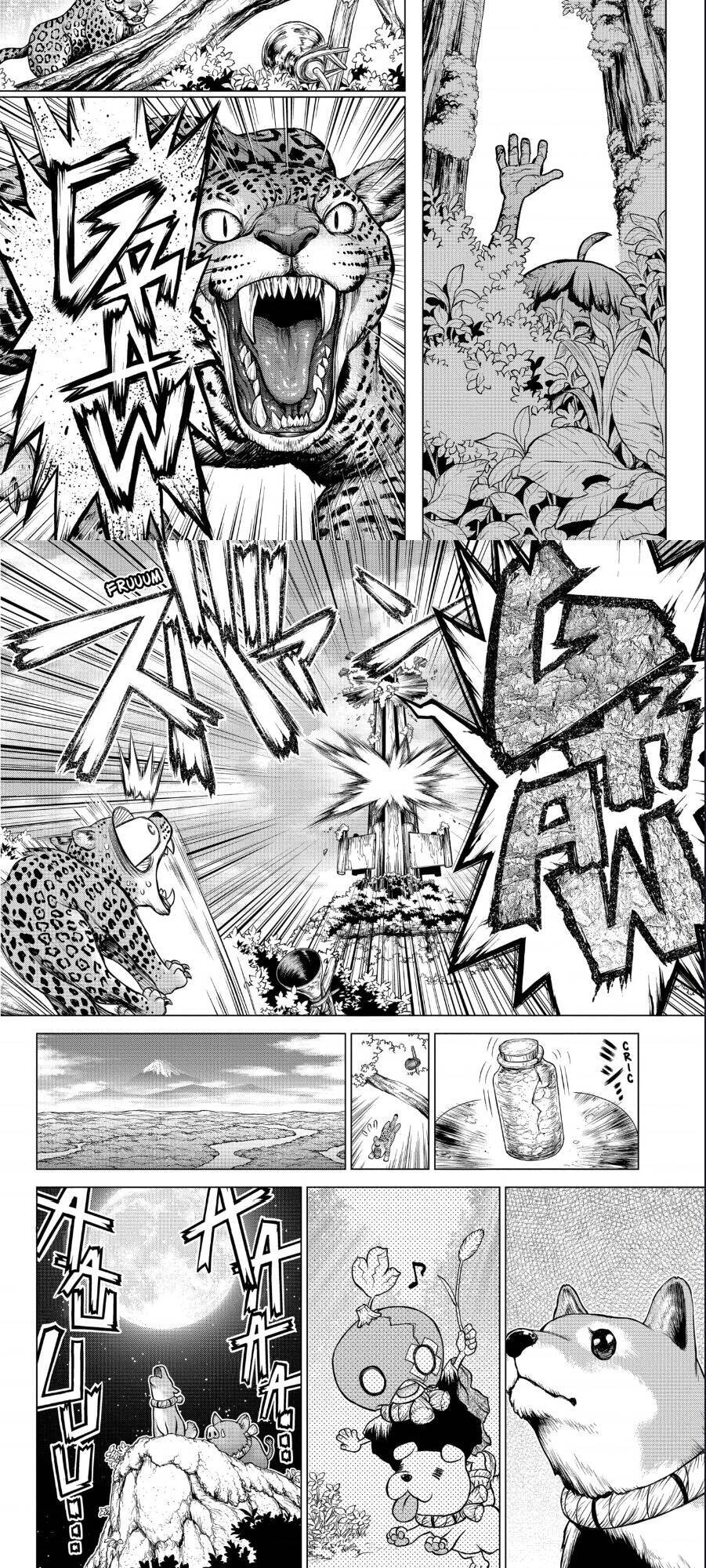 Dr.stone Tập 194 trang 4