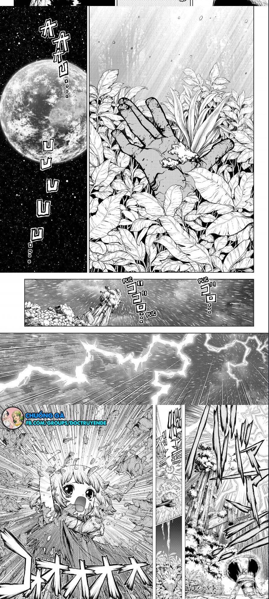 Dr.stone Tập 194 trang 5