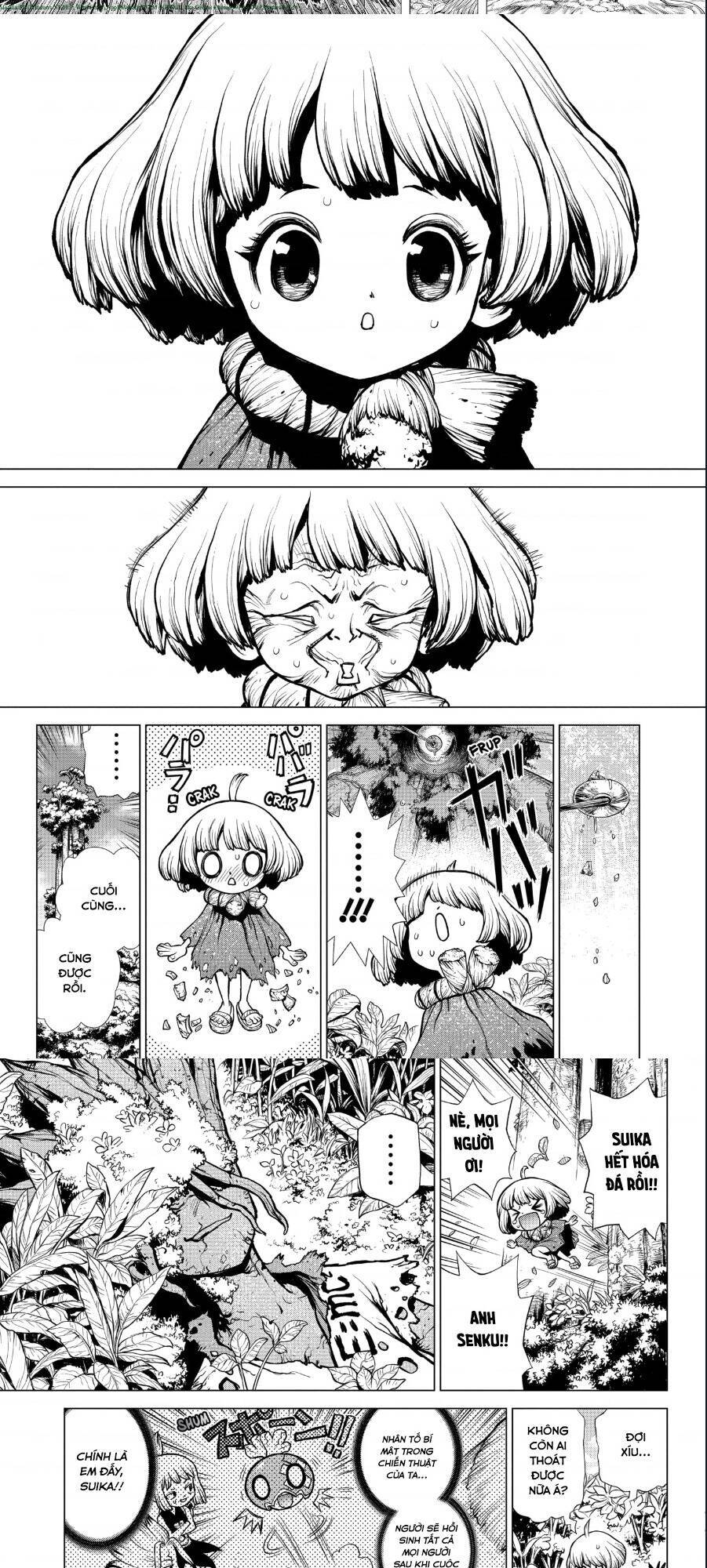 Dr.stone Tập 194 trang 6