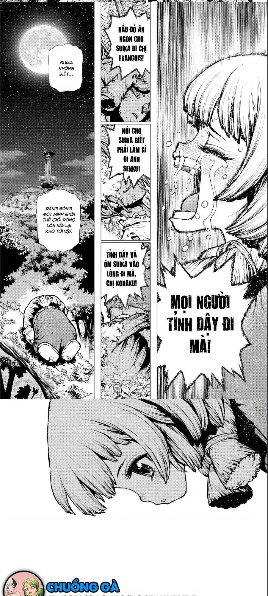 Dr.stone Tập 194 trang 10