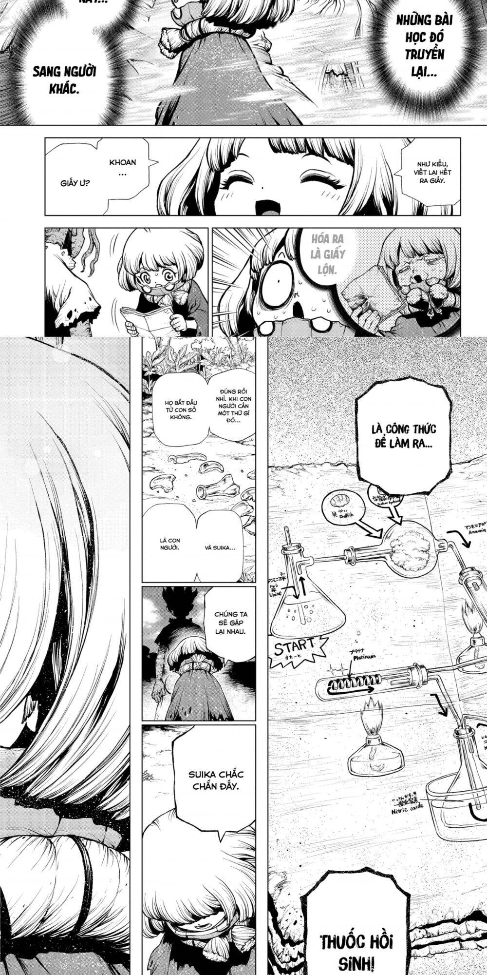 Dr.stone Tập 195 trang 12