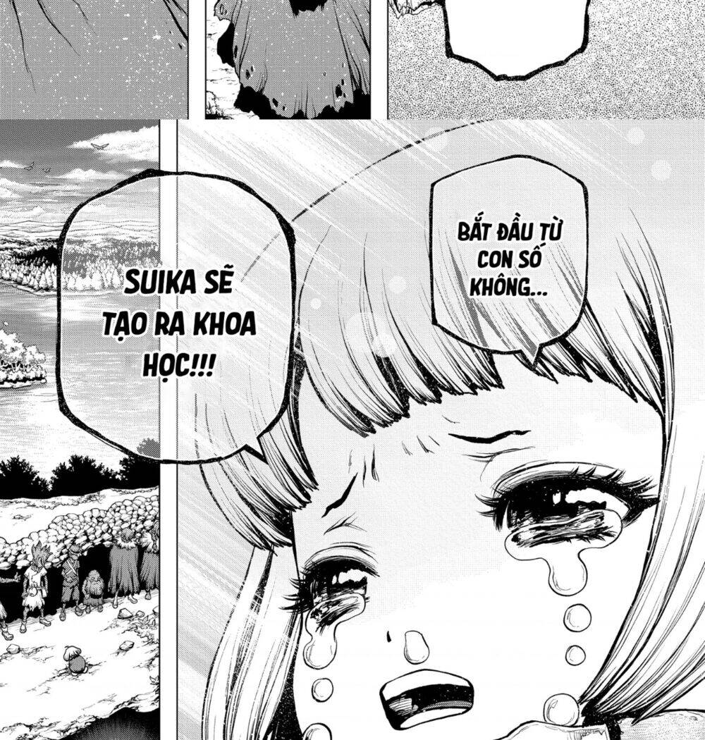 Dr.stone Tập 195 trang 13