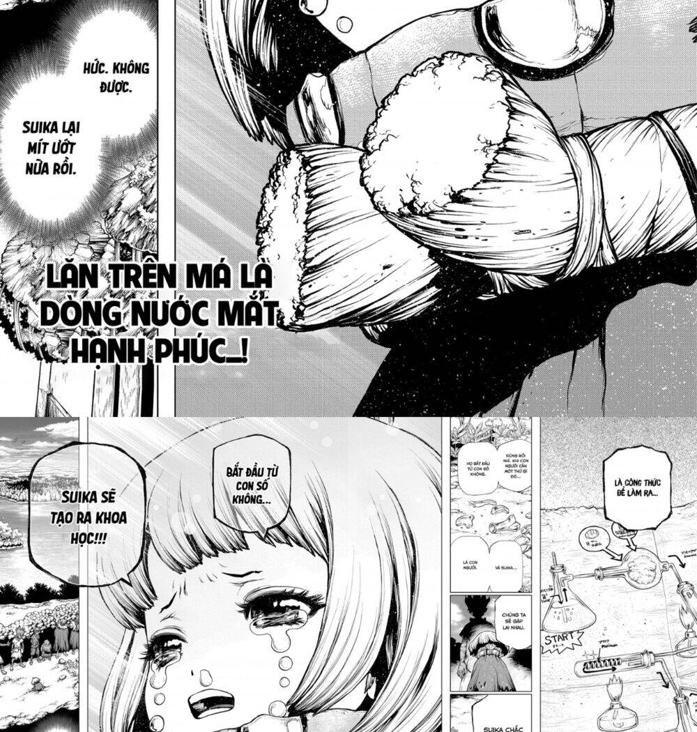 Dr.stone Tập 195 trang 14