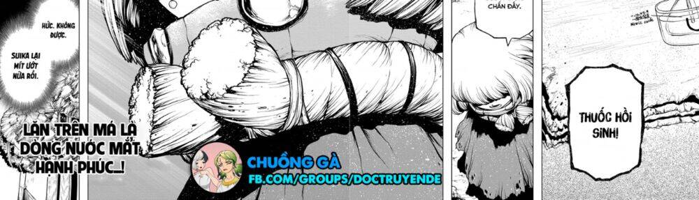 Dr.stone Tập 195 trang 15