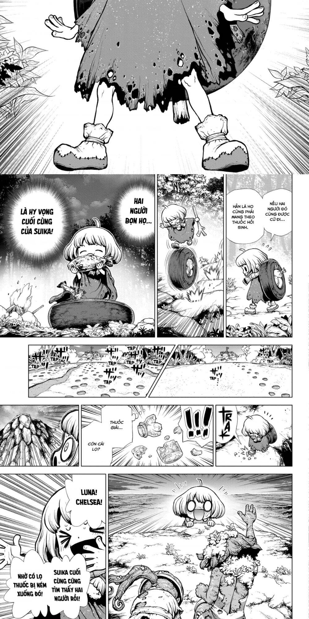Dr.stone Tập 195 trang 8
