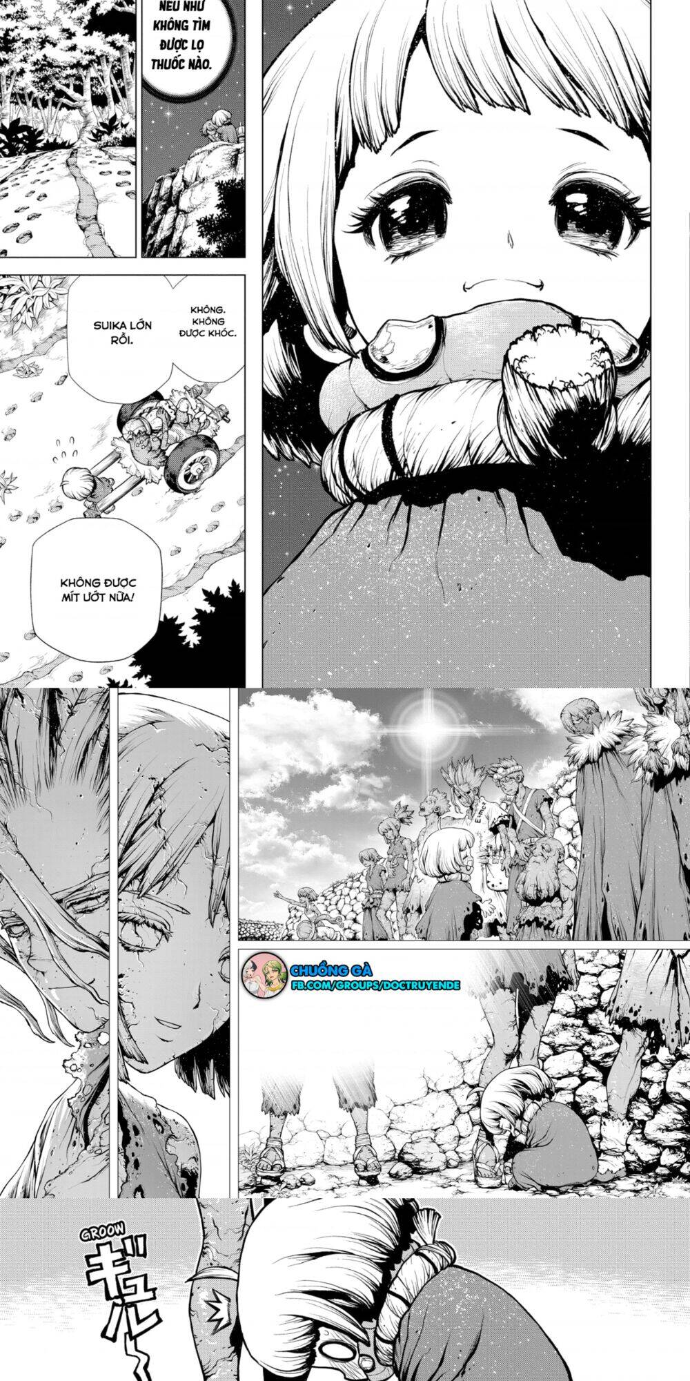 Dr.stone Tập 195 trang 10