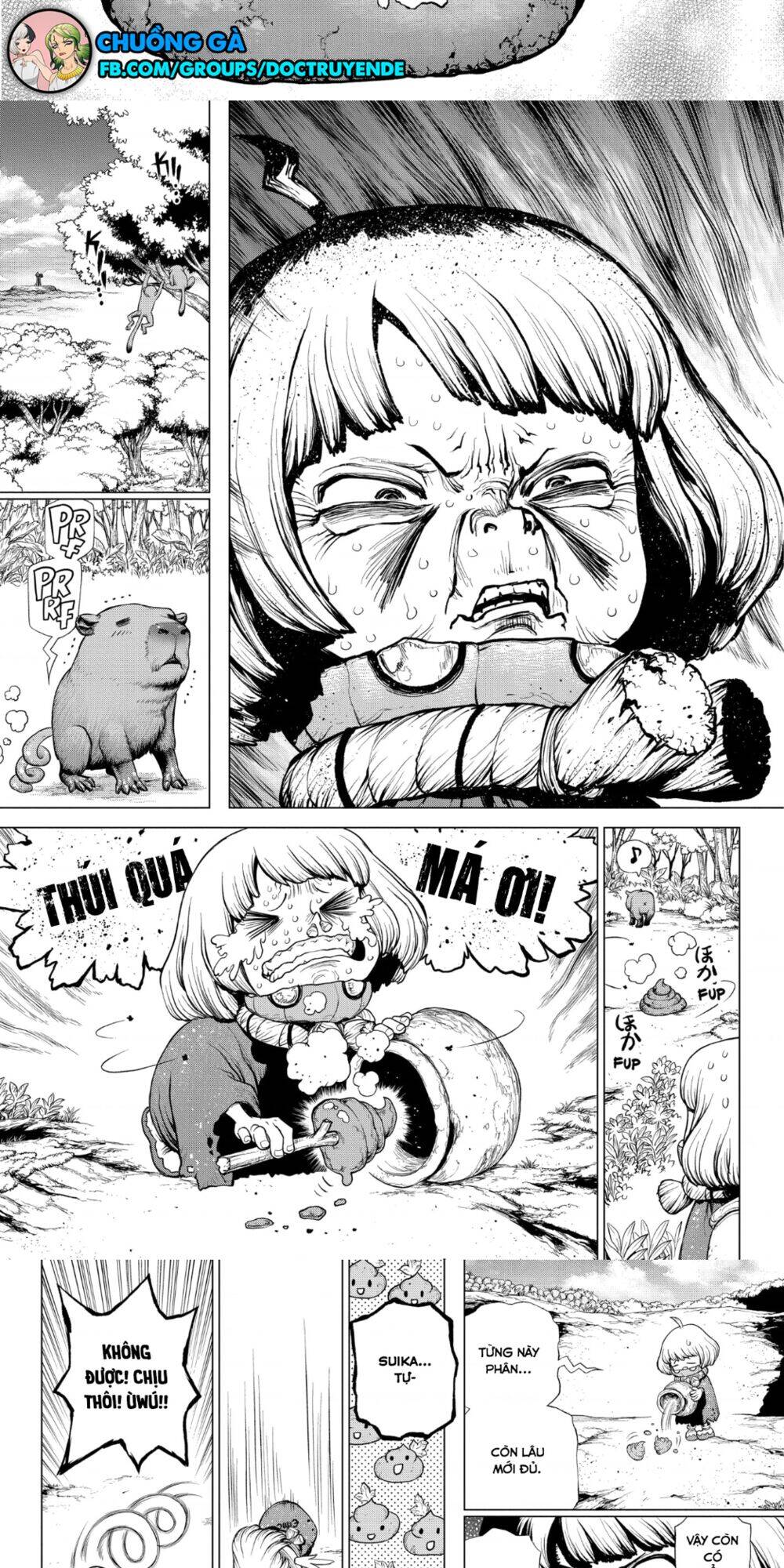 Dr.stone Tập 196 trang 6