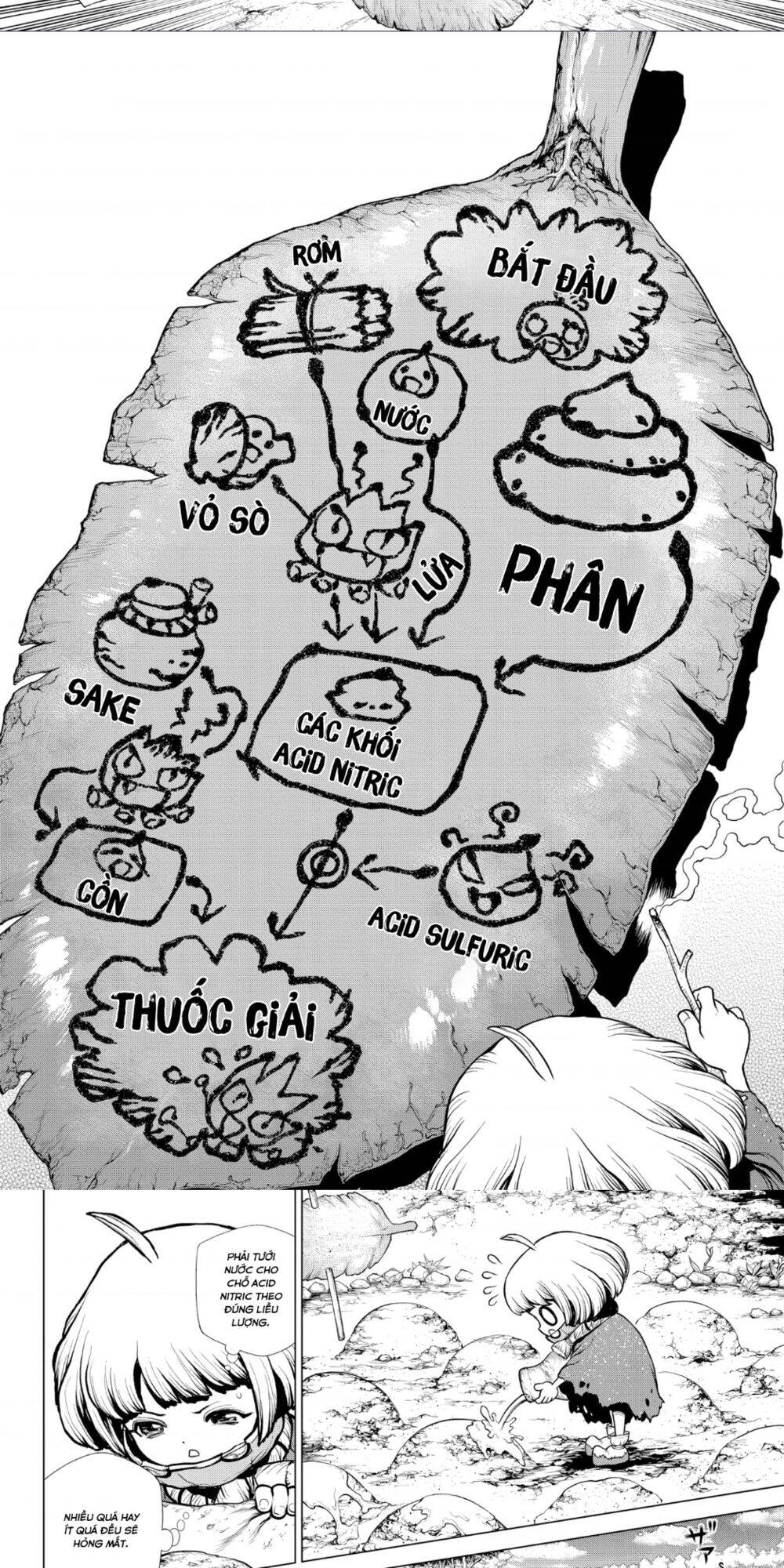 Dr.stone Tập 196 trang 9