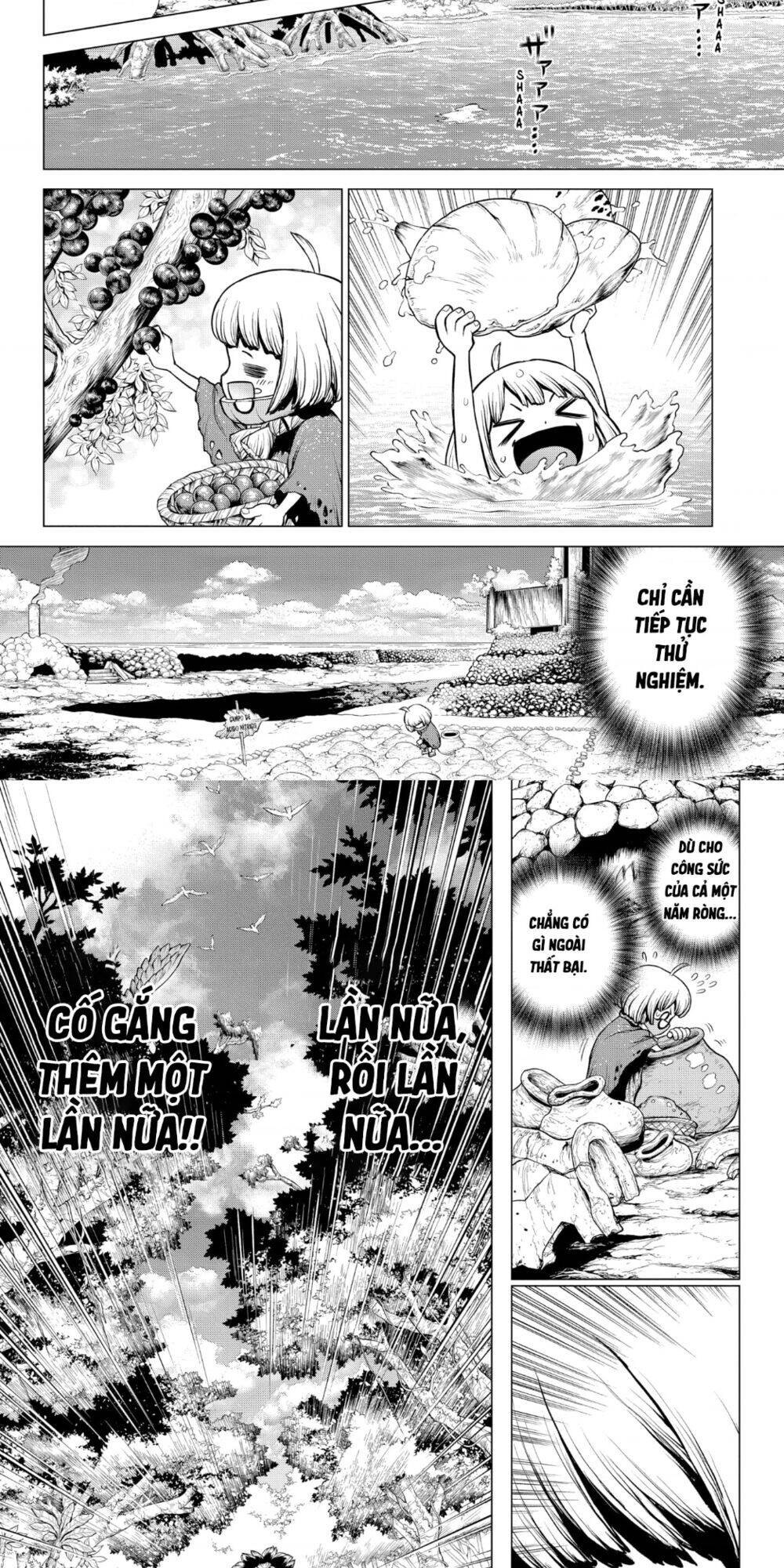 Dr.stone Tập 196 trang 10