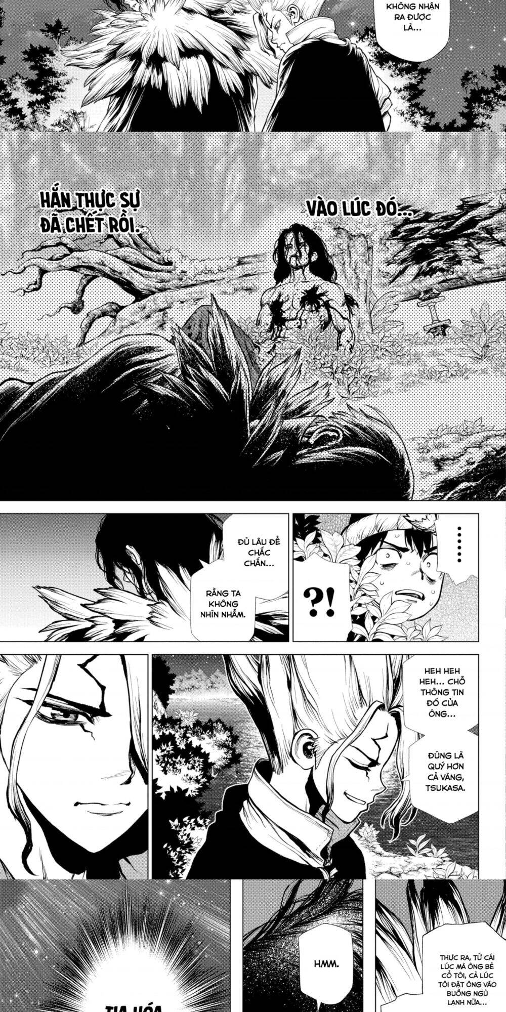 Dr.stone Tập 197 trang 13