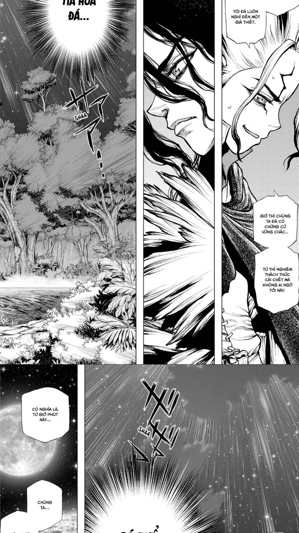 Dr.stone Tập 197 trang 14