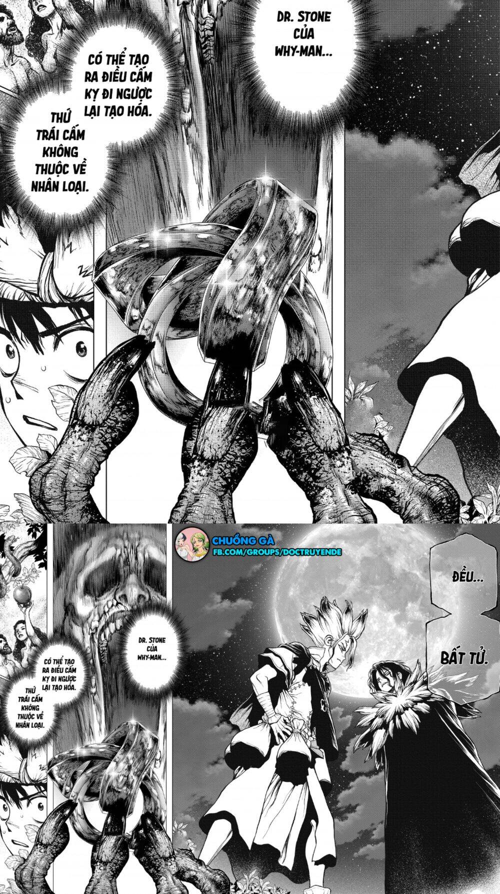 Dr.stone Tập 197 trang 17