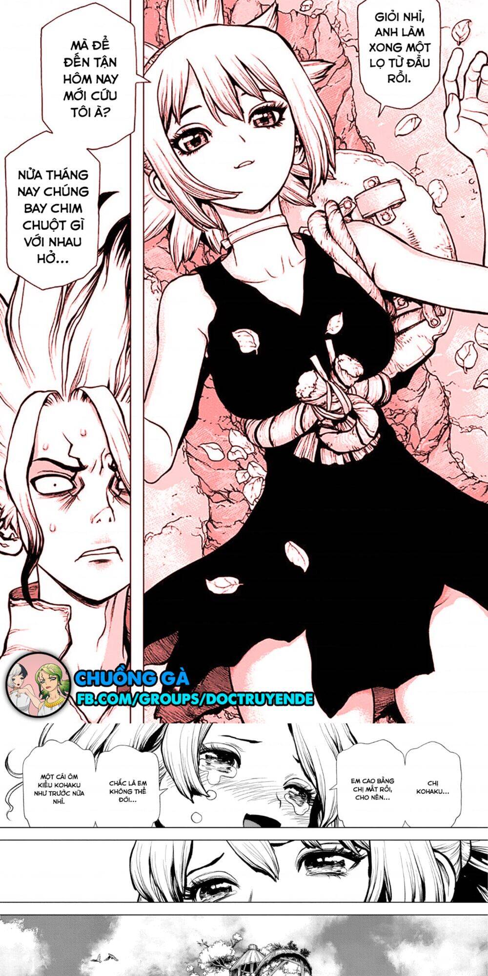 Dr.stone Tập 197 trang 5