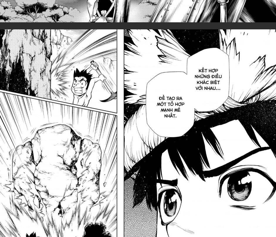Dr.stone Tập 199 trang 31