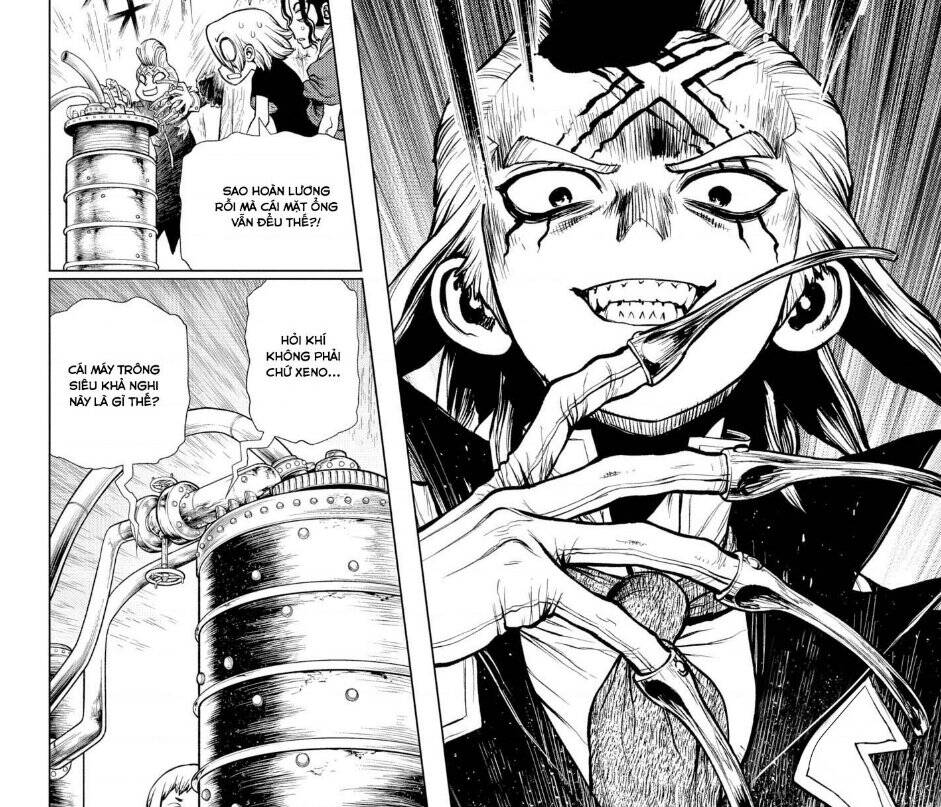 Dr.stone Tập 199 trang 5