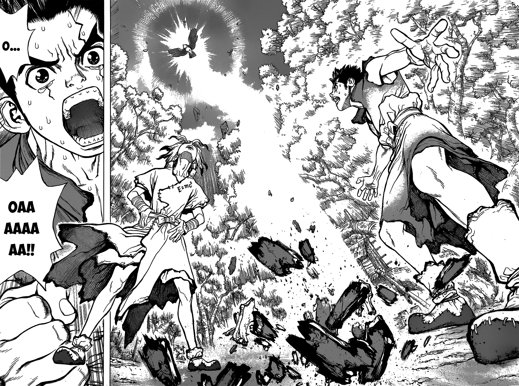 Dr.stone Tập 2 trang 24