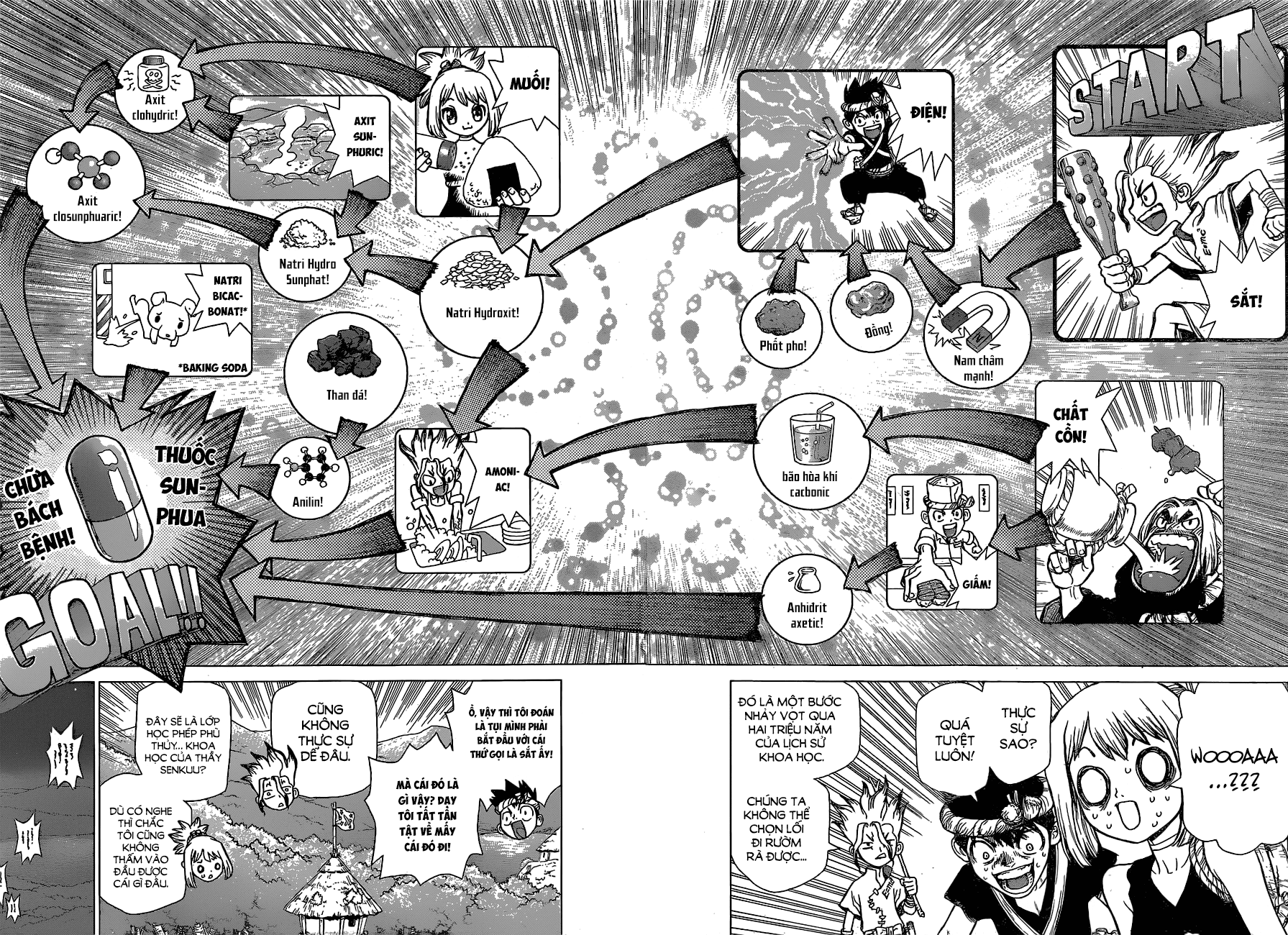 Dr.stone Tập 20 trang 12