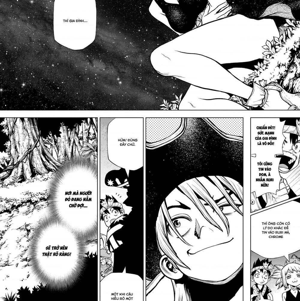 Dr.stone Tập 204 trang 12