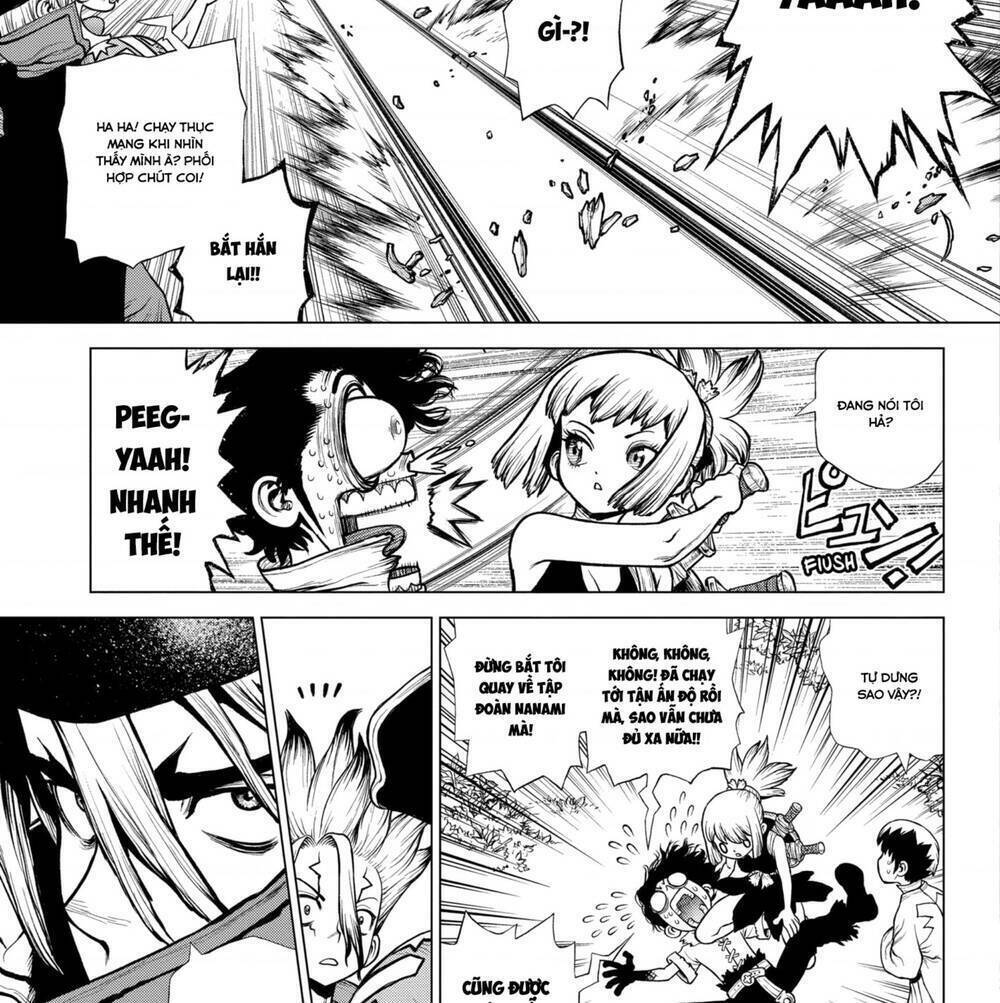 Dr.stone Tập 204 trang 20