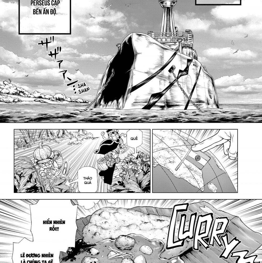 Dr.stone Tập 204 trang 10