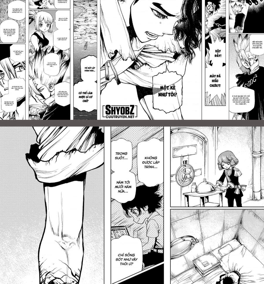Dr.stone Tập 205 trang 15