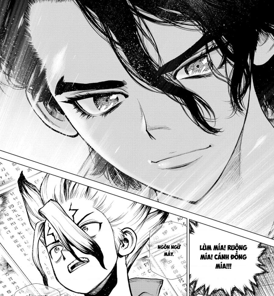Dr.stone Tập 205 trang 19
