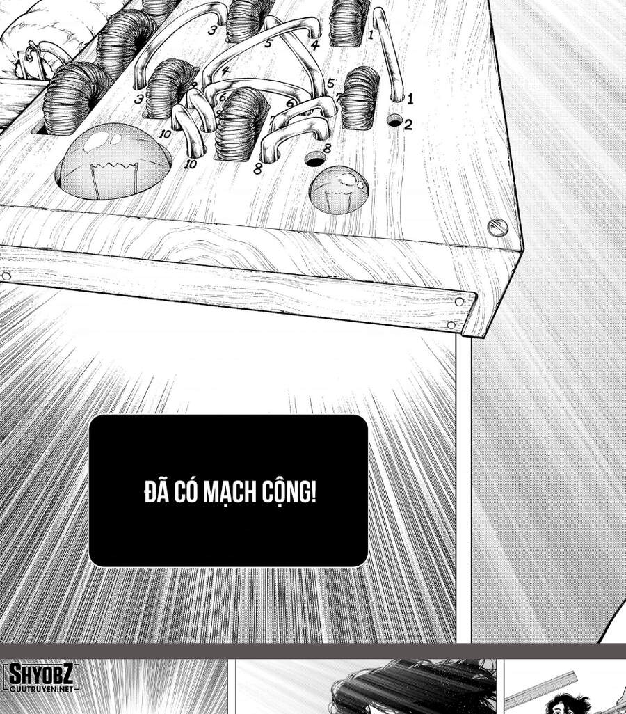Dr.stone Tập 206 trang 21