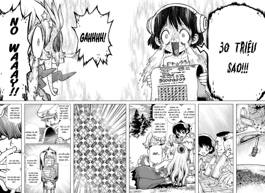 Dr.stone Tập 208 trang 12