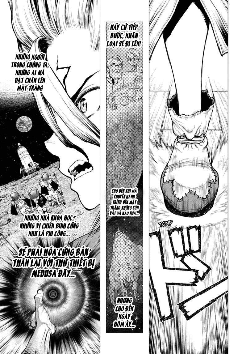 Dr.stone Tập 209 trang 18