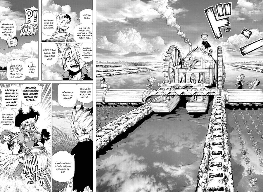 Dr.stone Tập 211 trang 12
