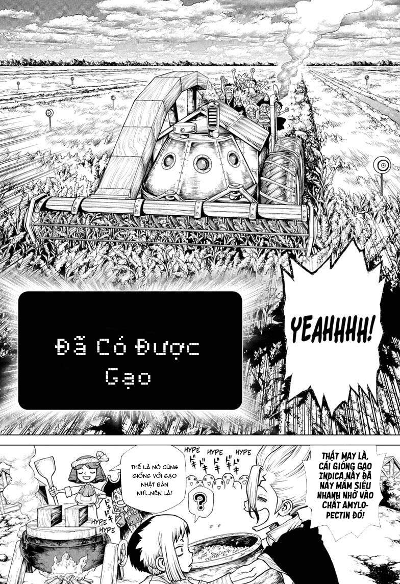 Dr.stone Tập 211 trang 14