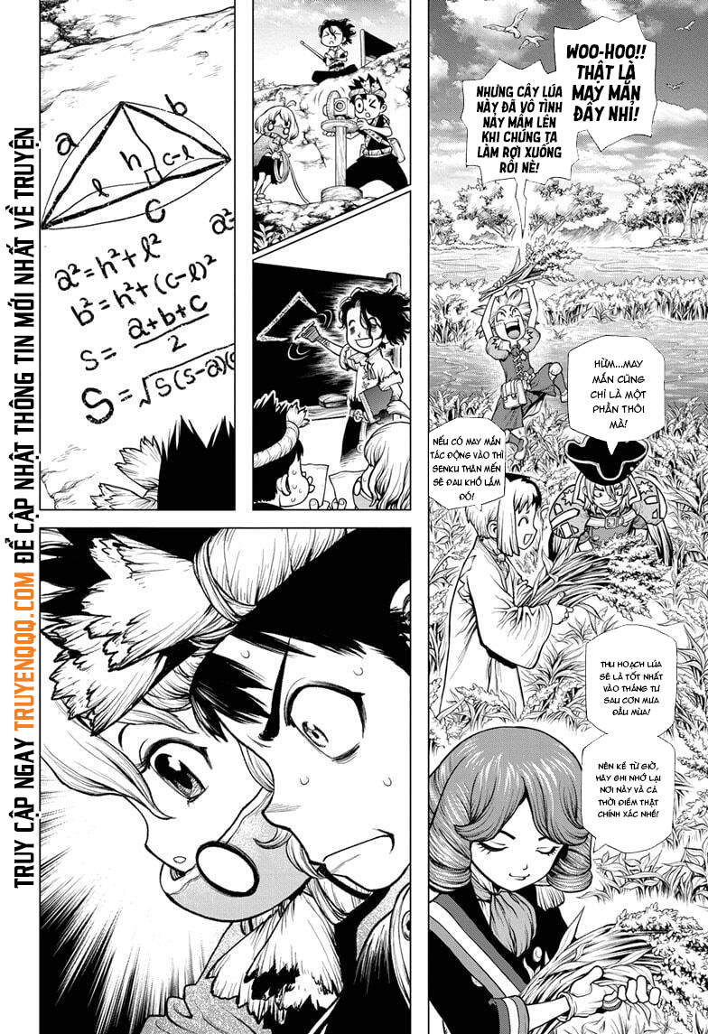 Dr.stone Tập 211 trang 10