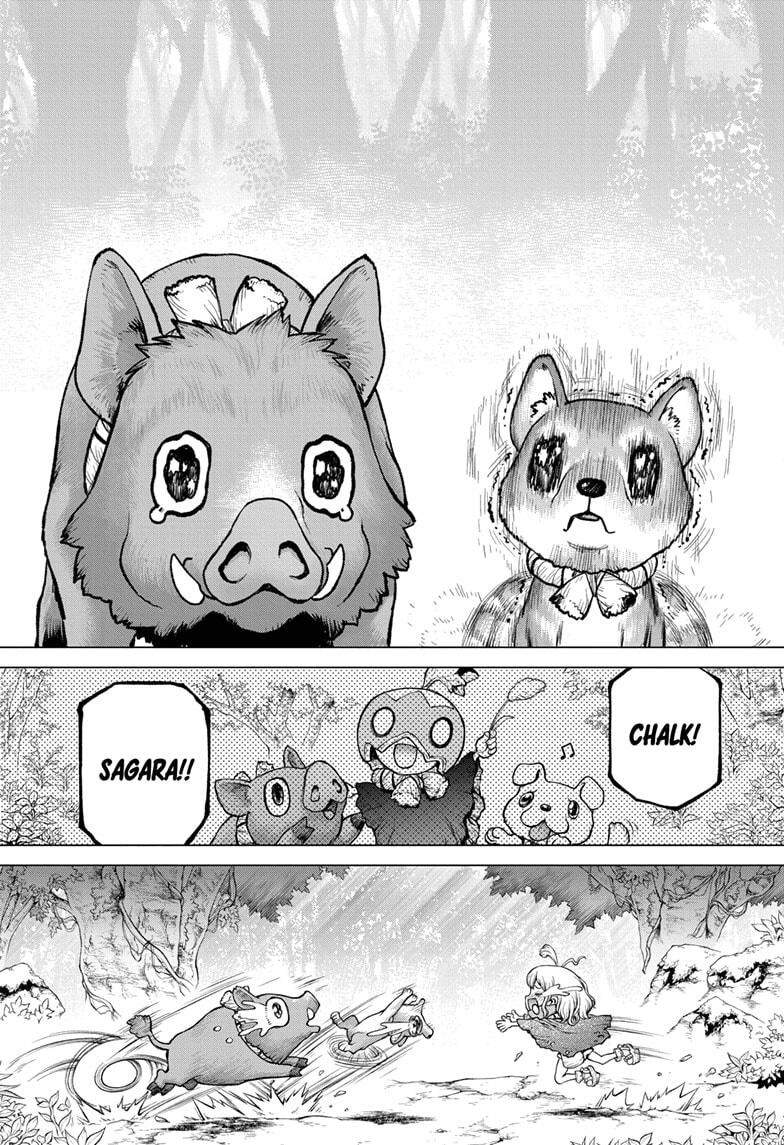 Dr.stone Tập 212 trang 13