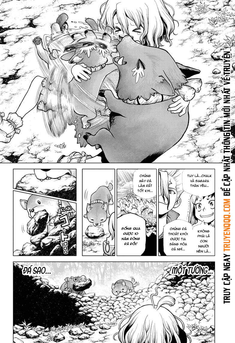 Dr.stone Tập 212 trang 14