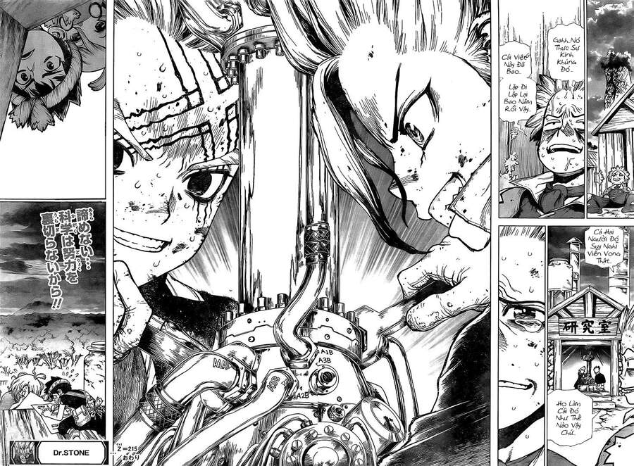 Dr.stone Tập 215 trang 19