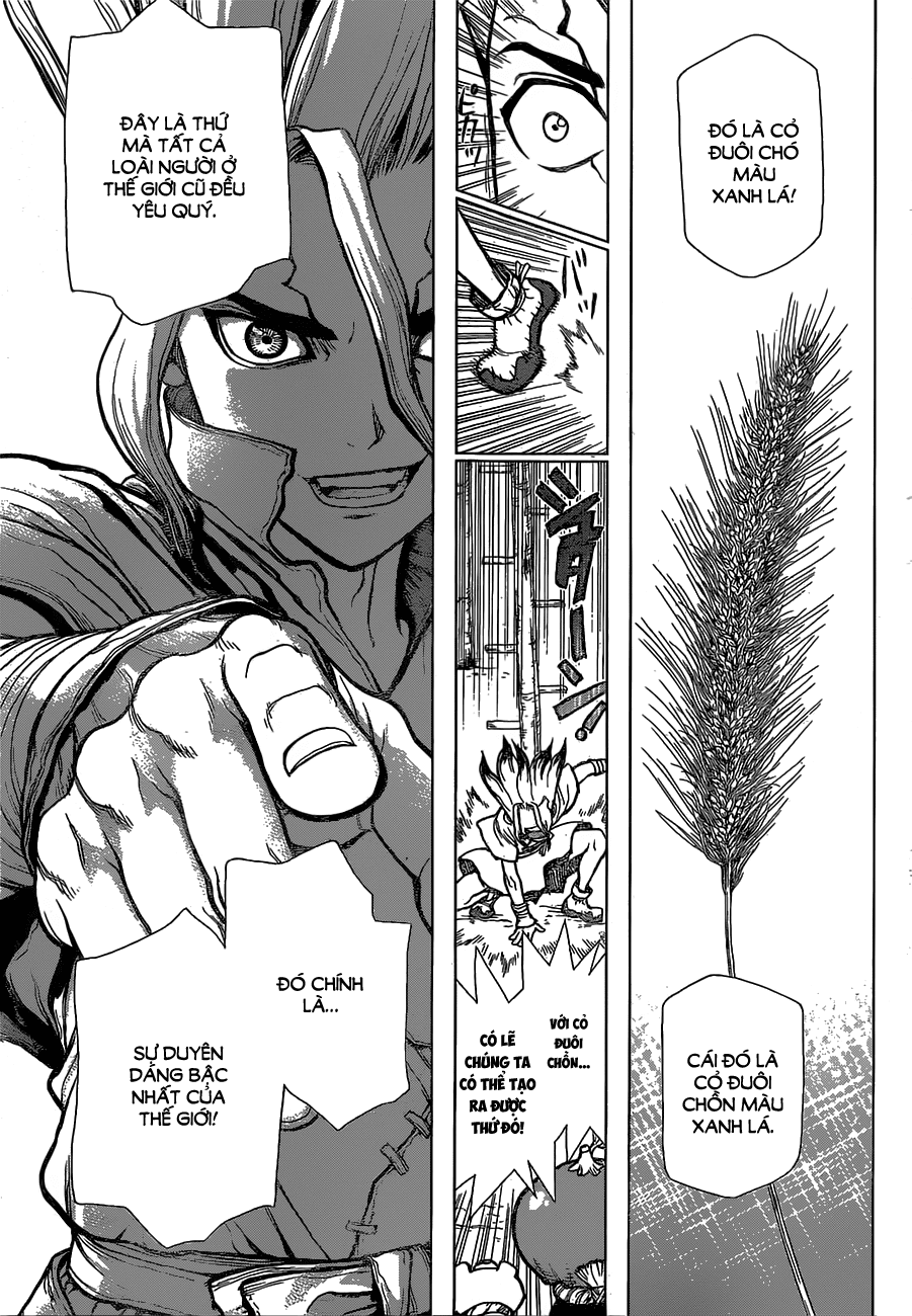 Dr.stone Tập 22 trang 11