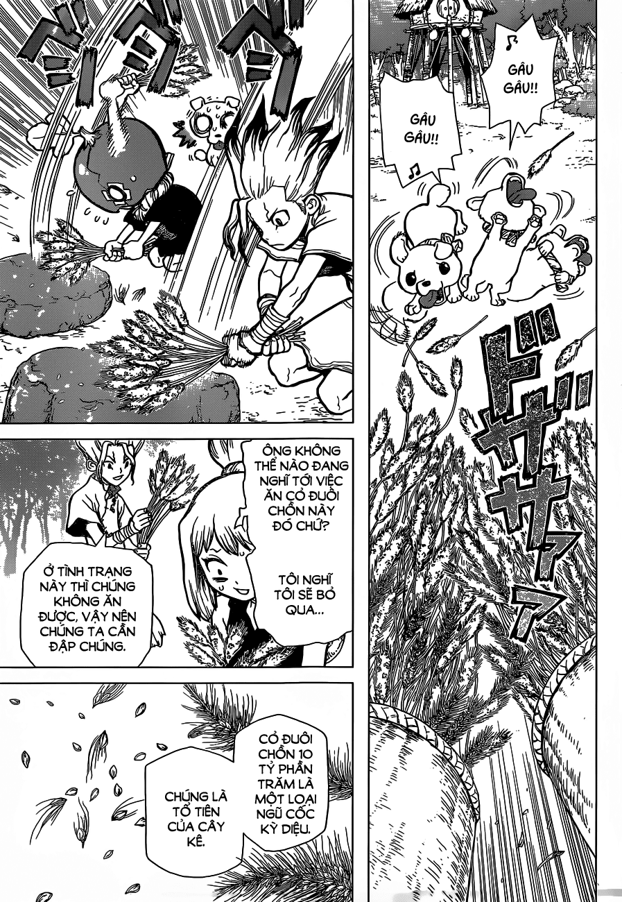 Dr.stone Tập 22 trang 13