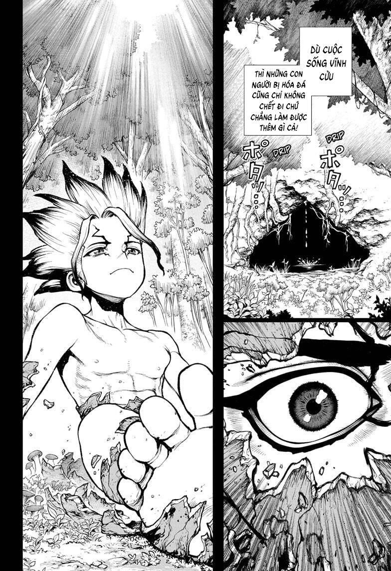Dr.stone Tập 229 trang 15