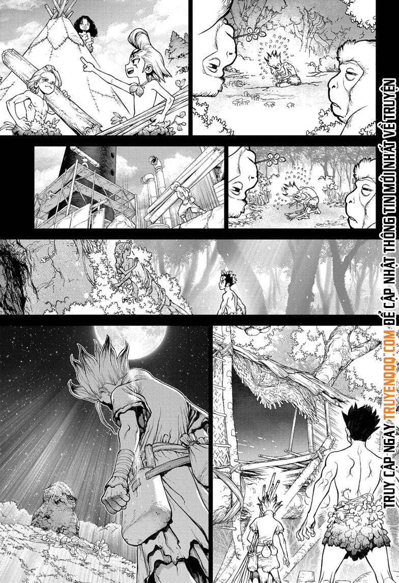 Dr.stone Tập 229 trang 16