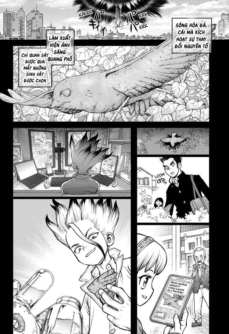 Dr.stone Tập 229 trang 8
