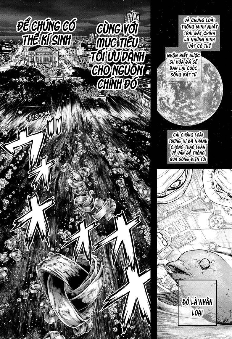 Dr.stone Tập 229 trang 9