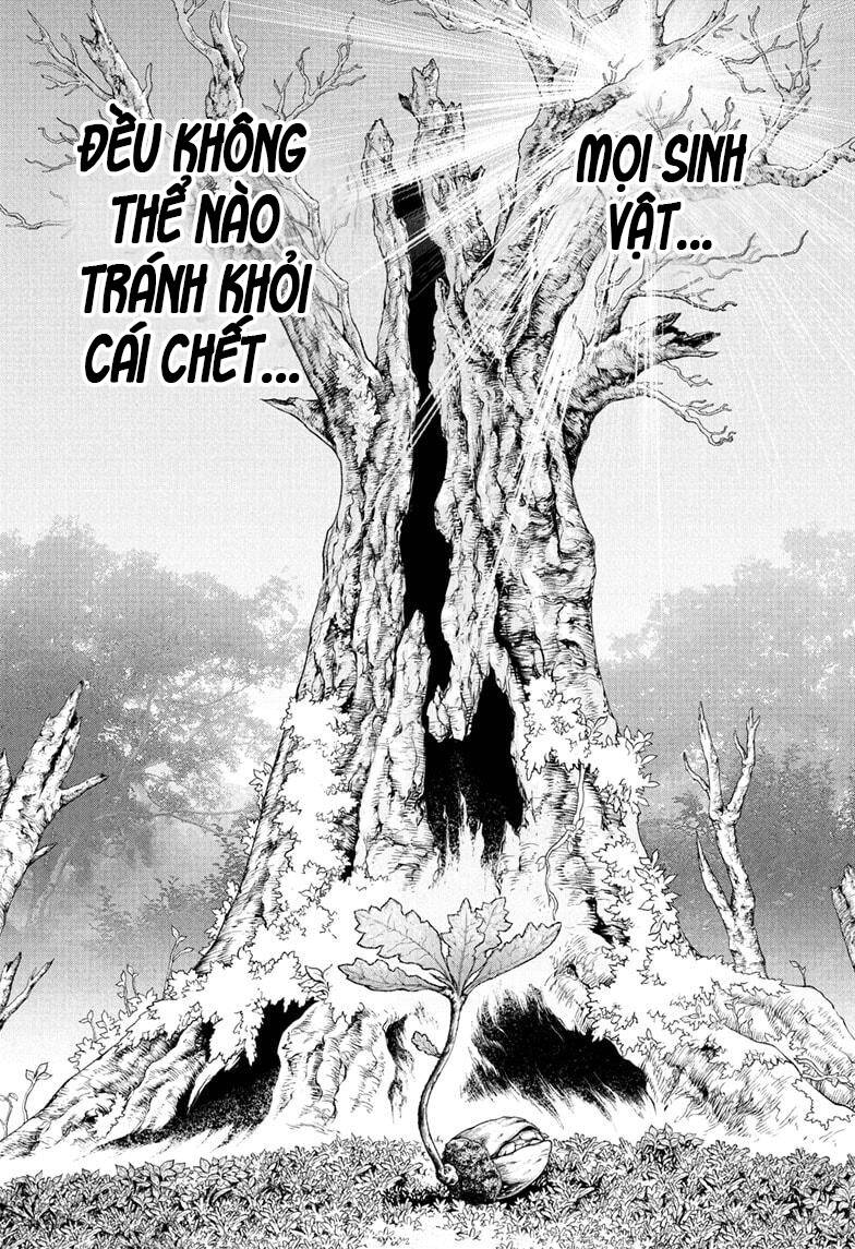 Dr.stone Tập 230 trang 3