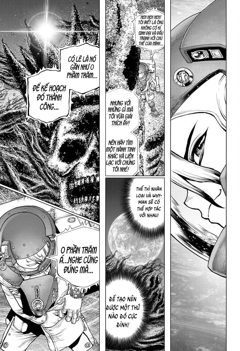 Dr.stone Tập 231 trang 11