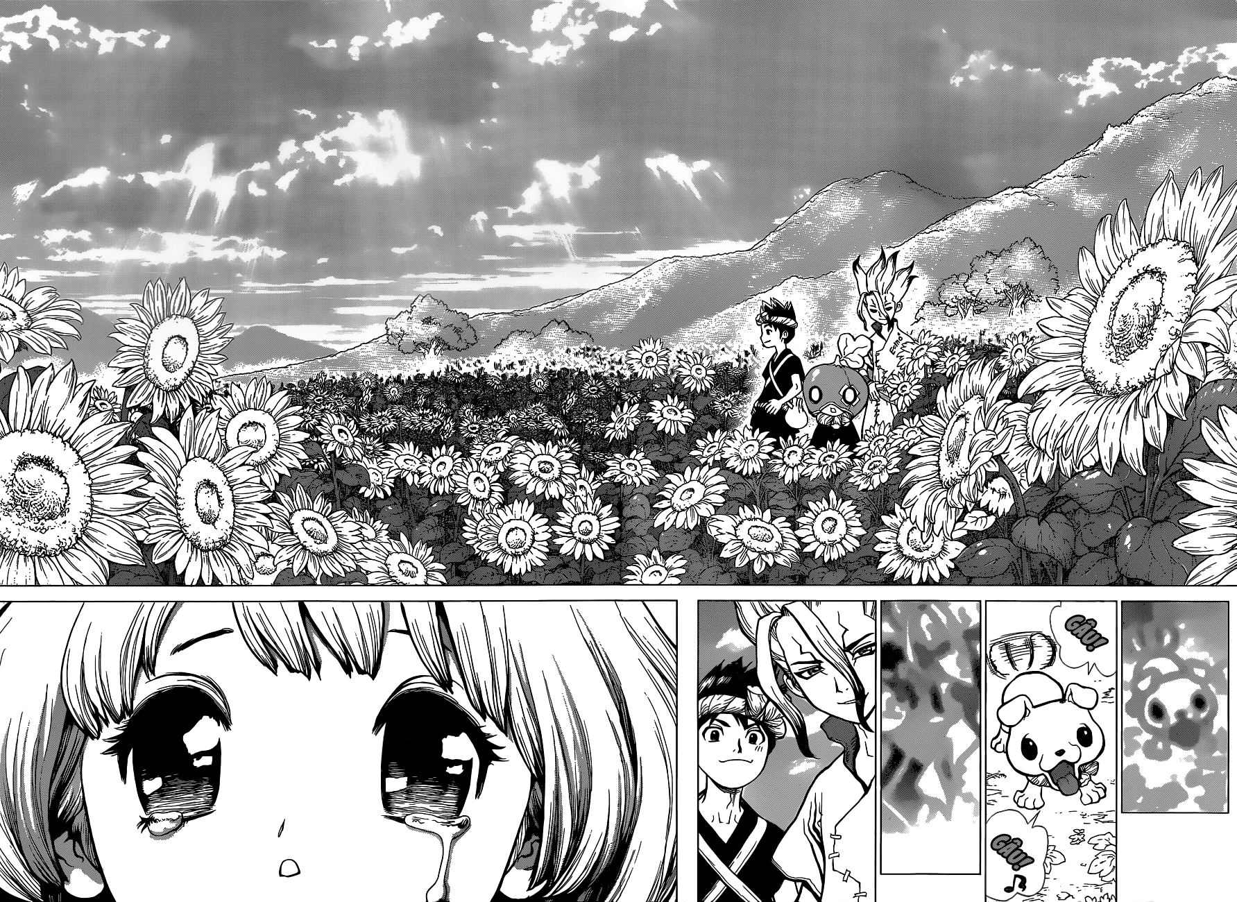 Dr.stone Tập 28 trang 16